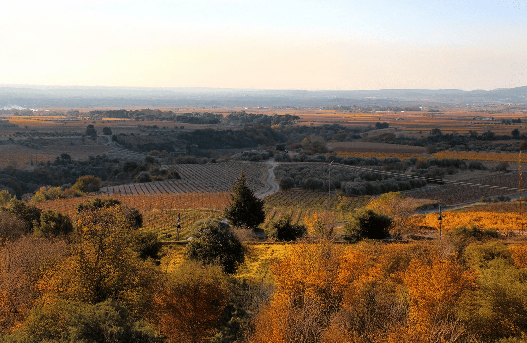 Domaine de la Réserve d'O