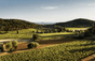 Domaine de Terrebrune