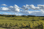 Domaine des Closiers