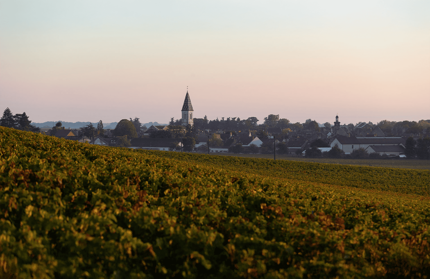 Domaine Henri Gouges
