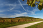 Domaine Hoffmann-Jayer