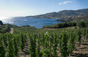 Domaine Madeloc