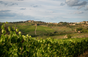 Antinori - Italie
