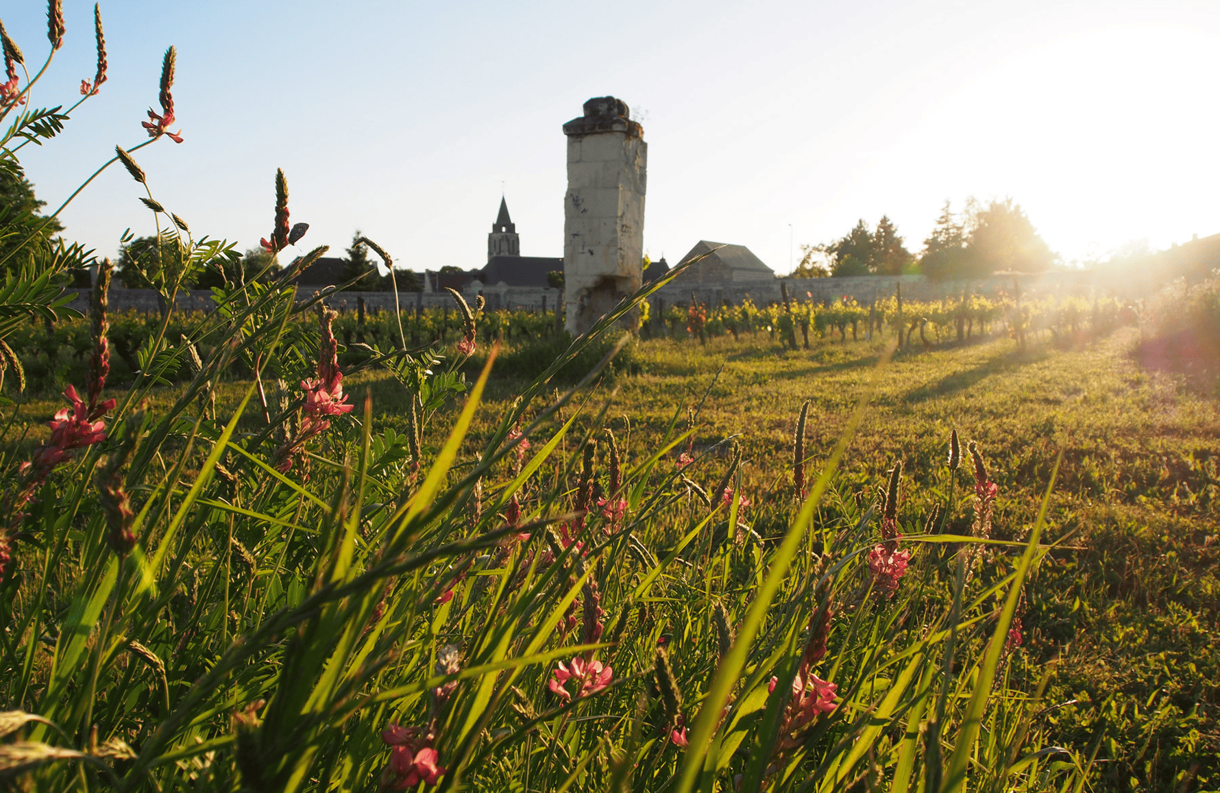 Domaine du Bel Air