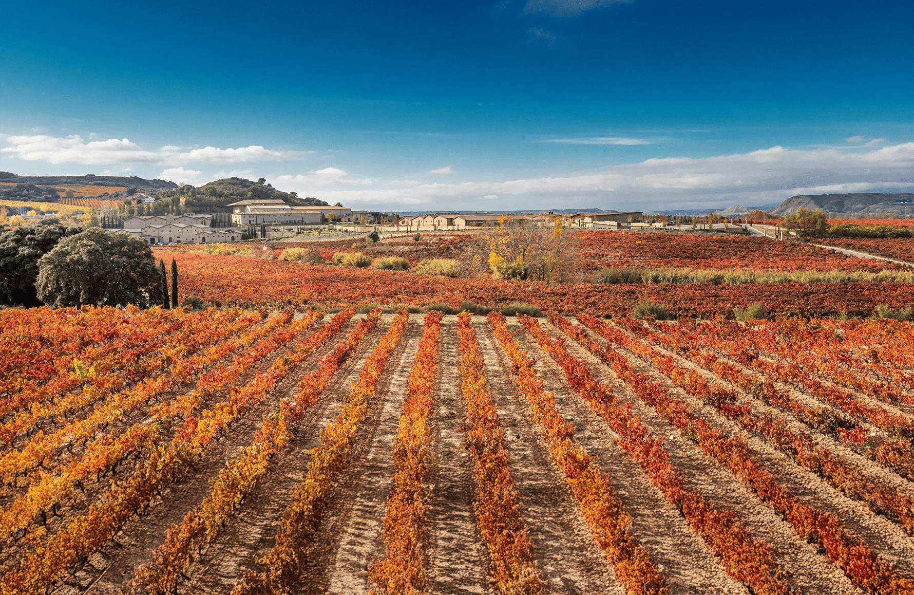 Marques de Murrieta - Espagne