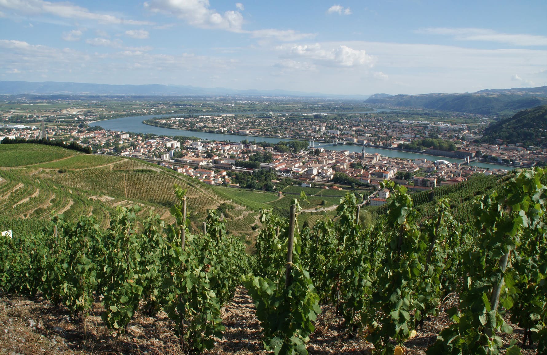 Domaine Yann Chave
