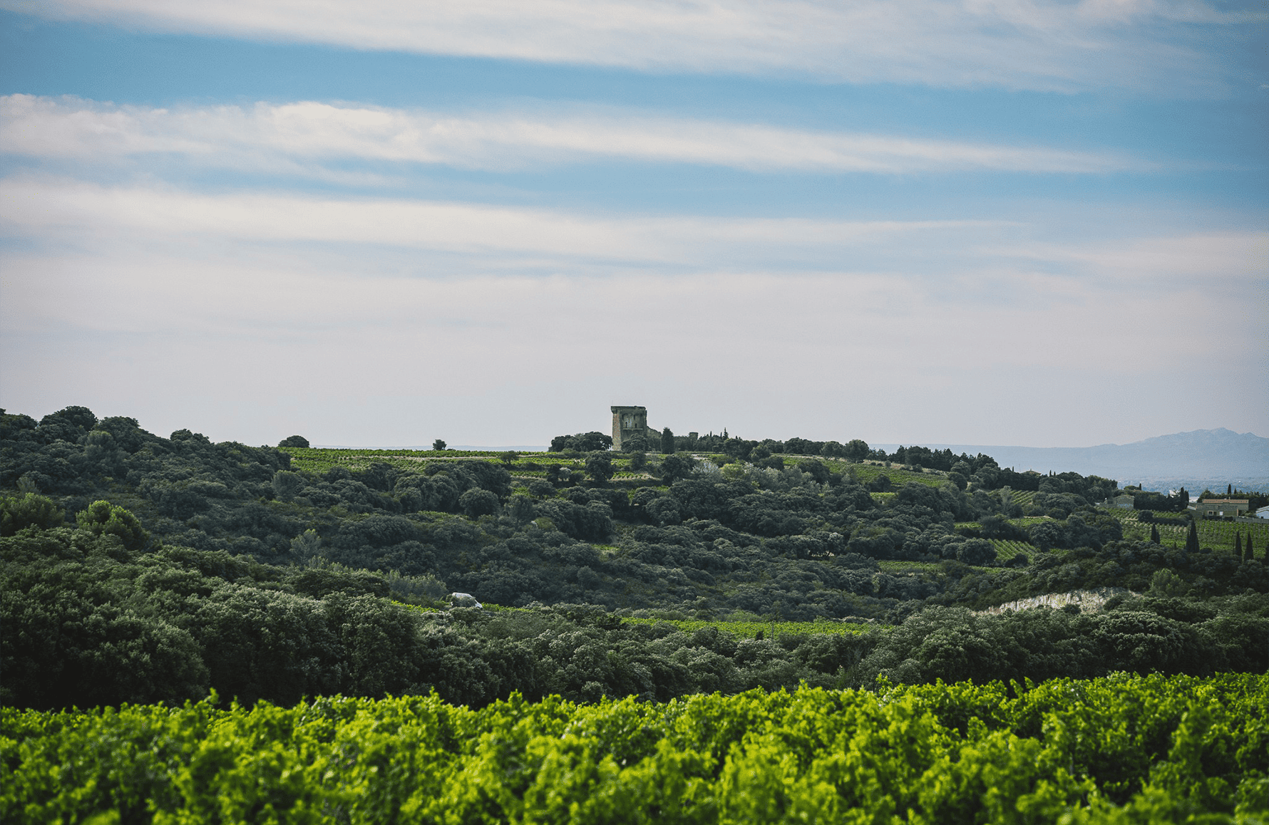 Clos Saint-Jean