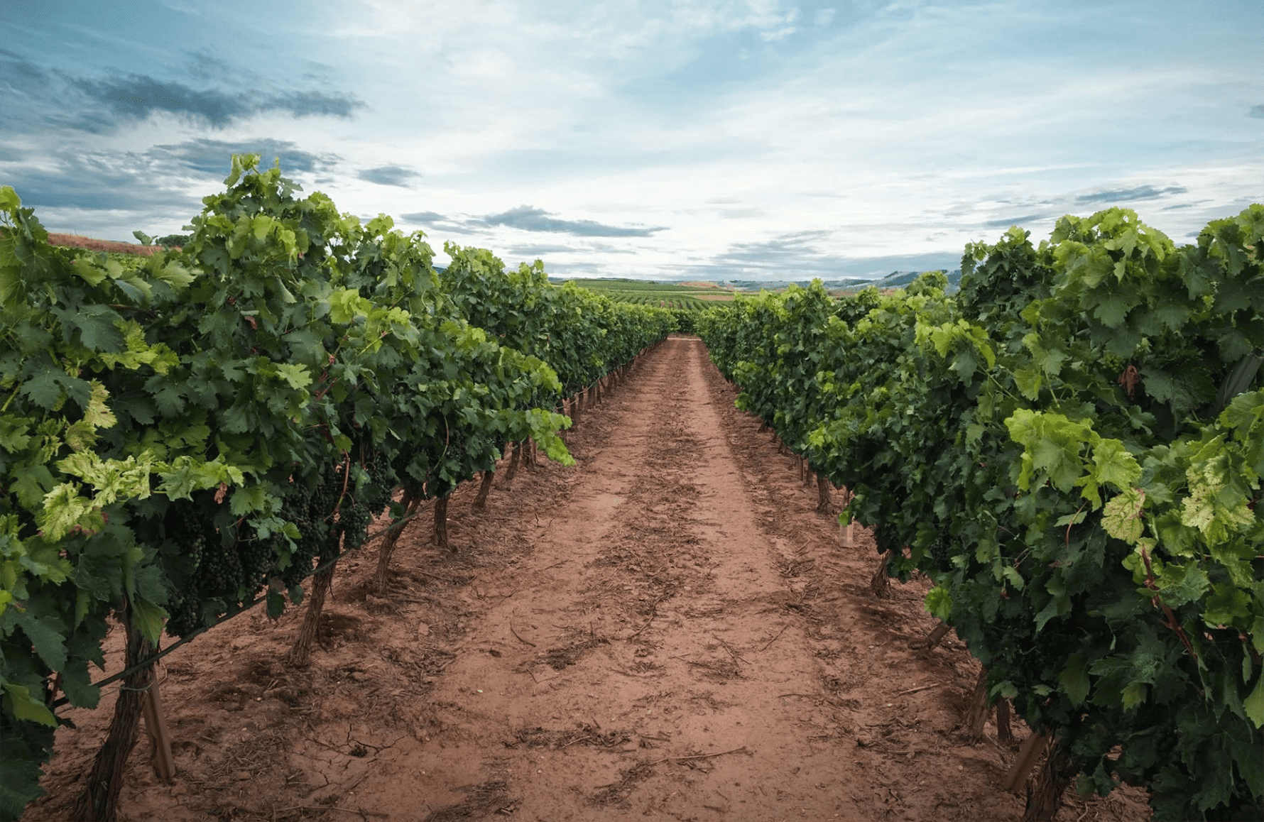 Domaine Gallet