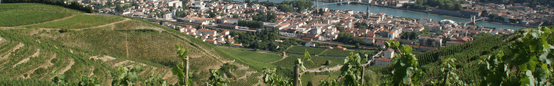Domaine les Serines d'Or