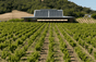 Ridge Vineyards