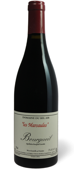 Domaine Gauthier - Bourgueil Marsaules 2021