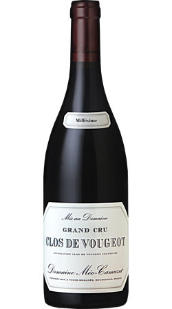 Domaine Méo-Camuzet - 2020 - Clos Vougeot Grand Cru