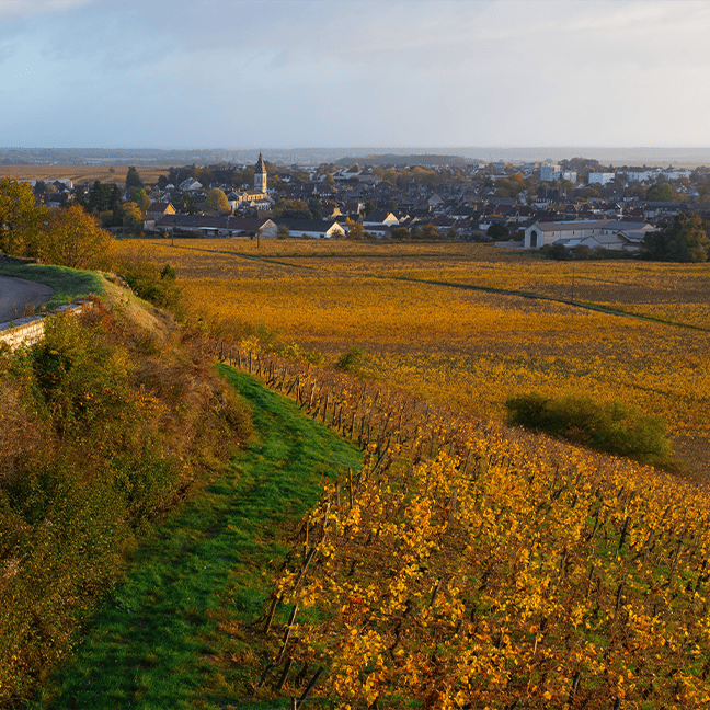 NUITS-SAINT-GEORGES