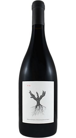 Dominio de Pingus - PSI 2021 - Ribera Del Duero