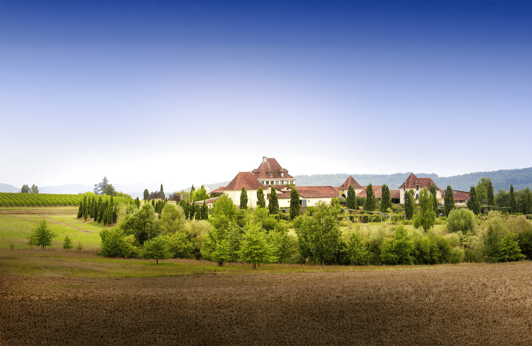 the story of A. Brumont