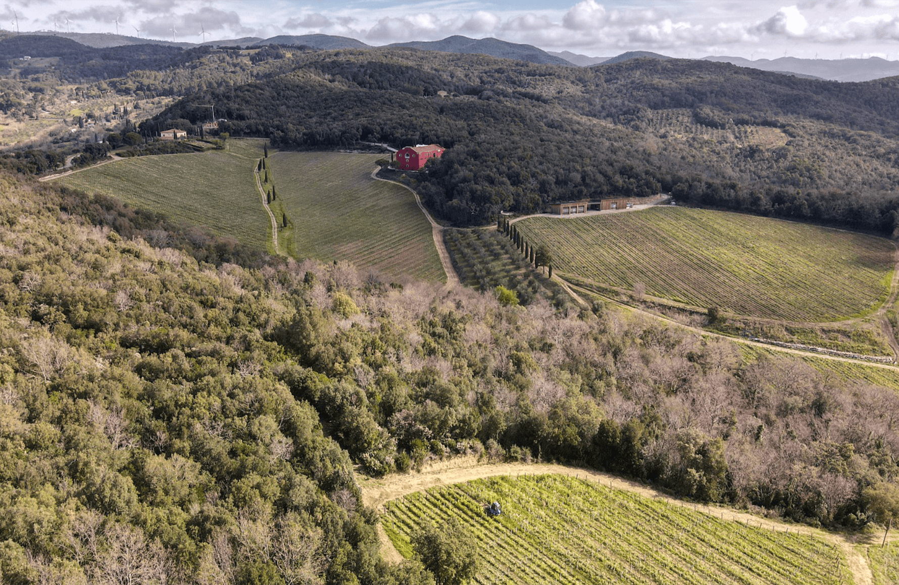 Vins Caiarossa - Italie