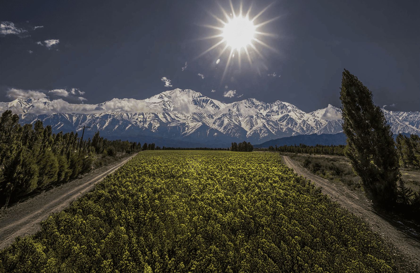 Wines Catena Zapata - Argentina