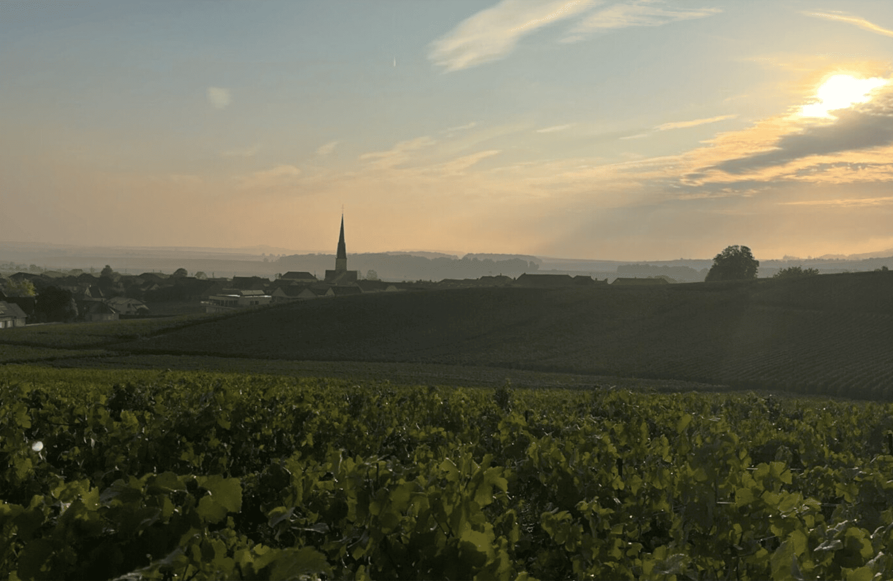 Vins Champagne Bonnet-Ponson