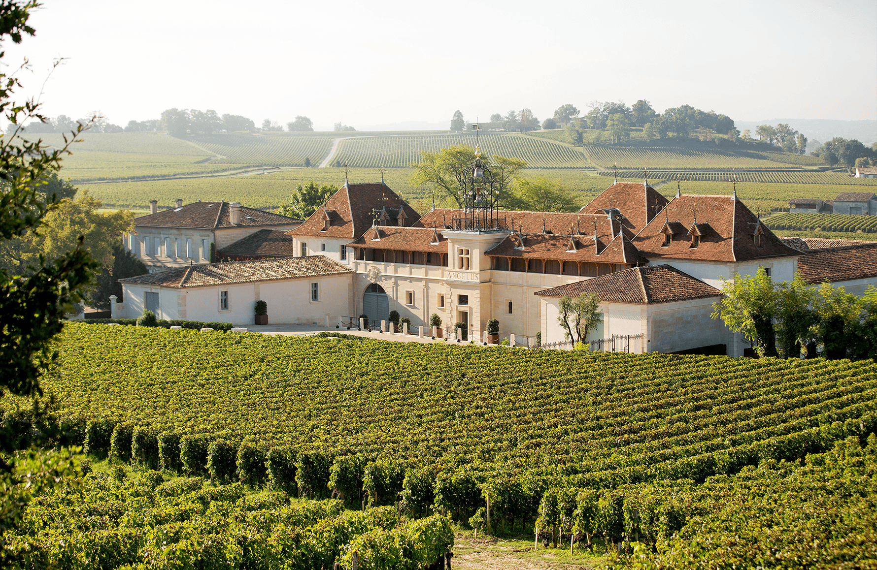 Vins Château Angelus
