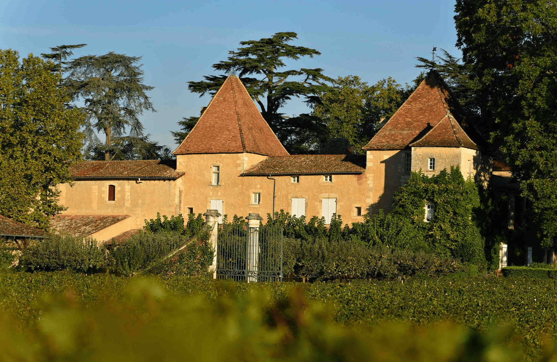 Vins Château Carbonnieux