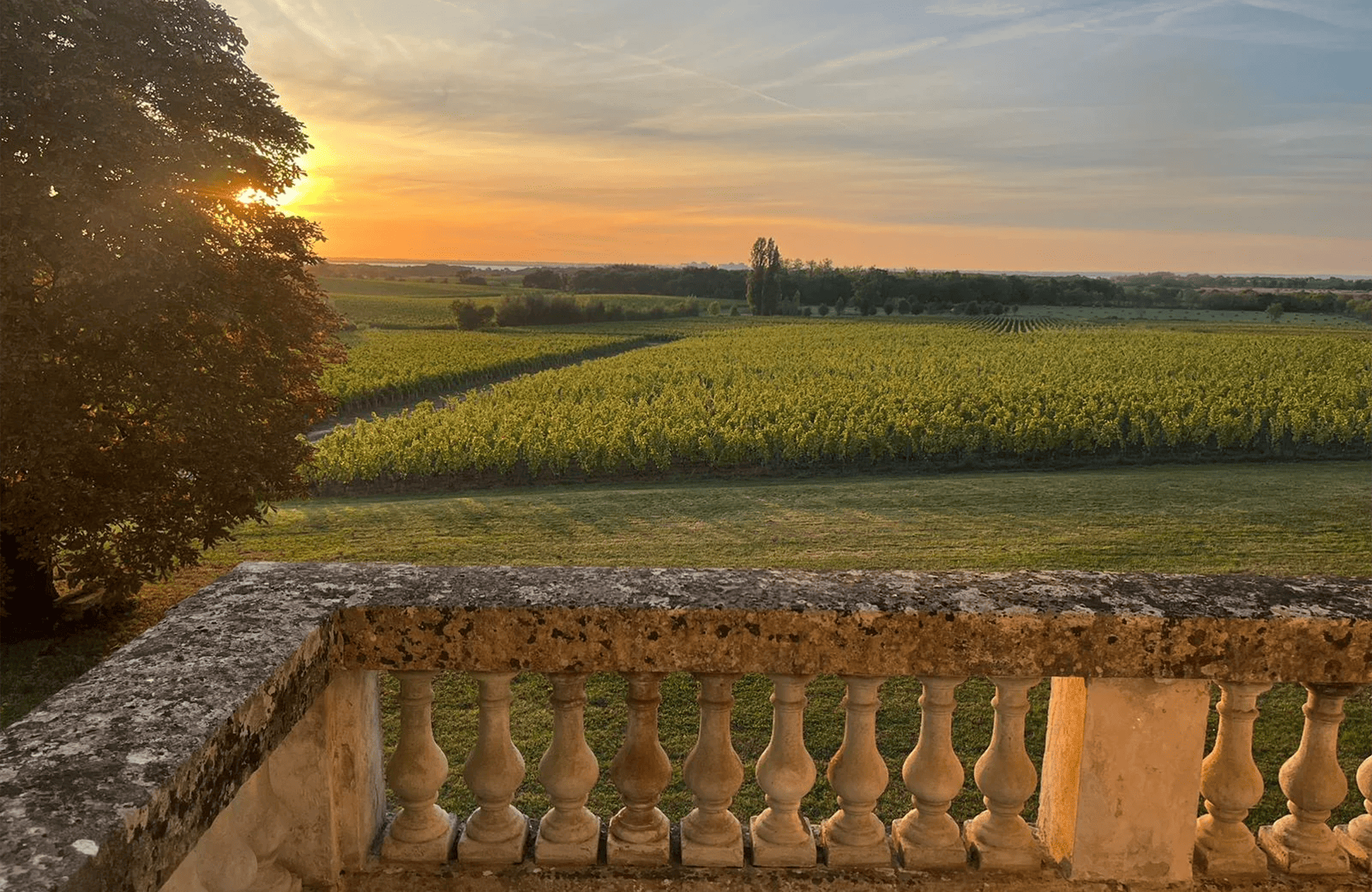 Vins Château Charmail