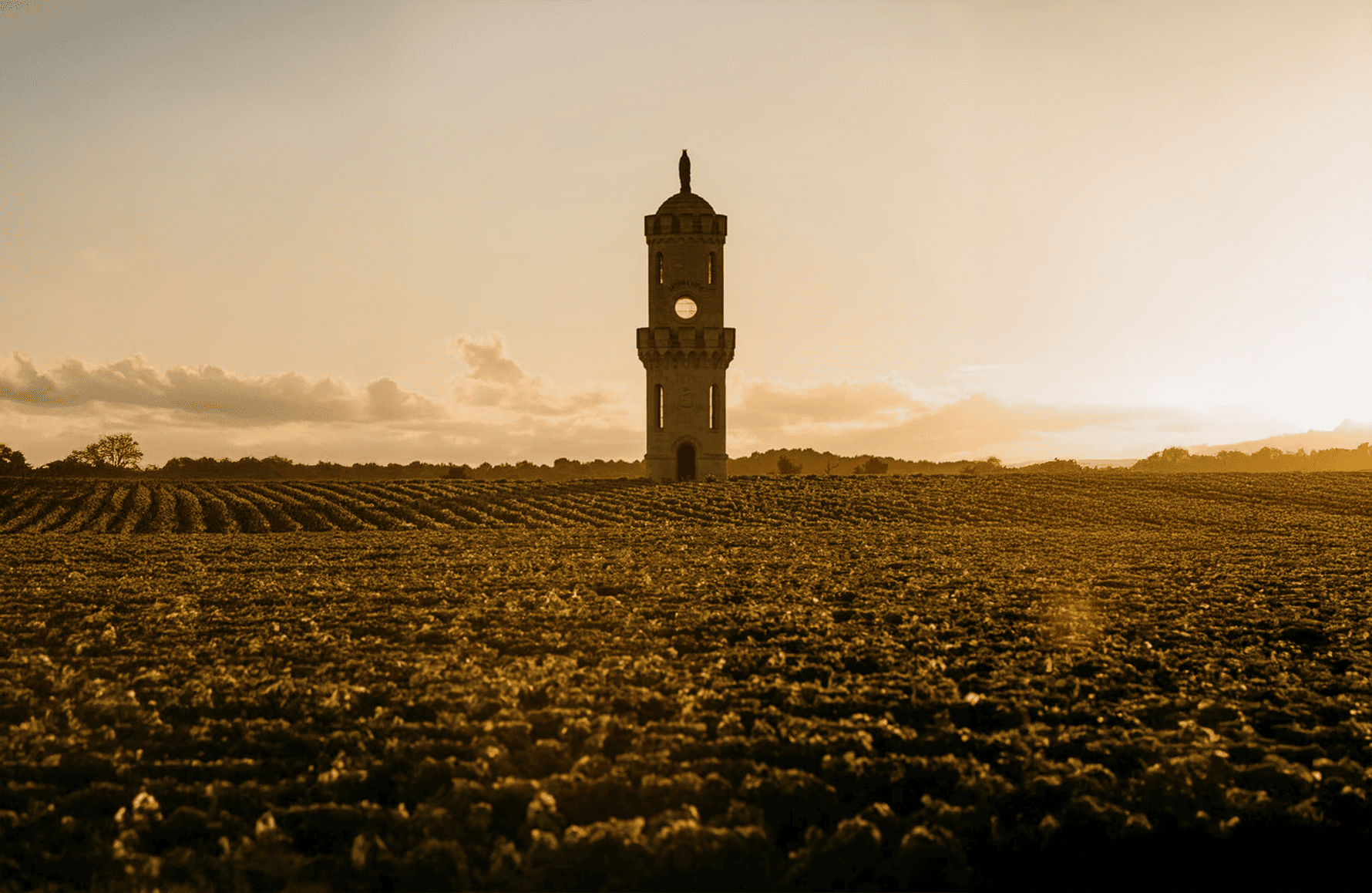 Vins Château Haut-Batailley