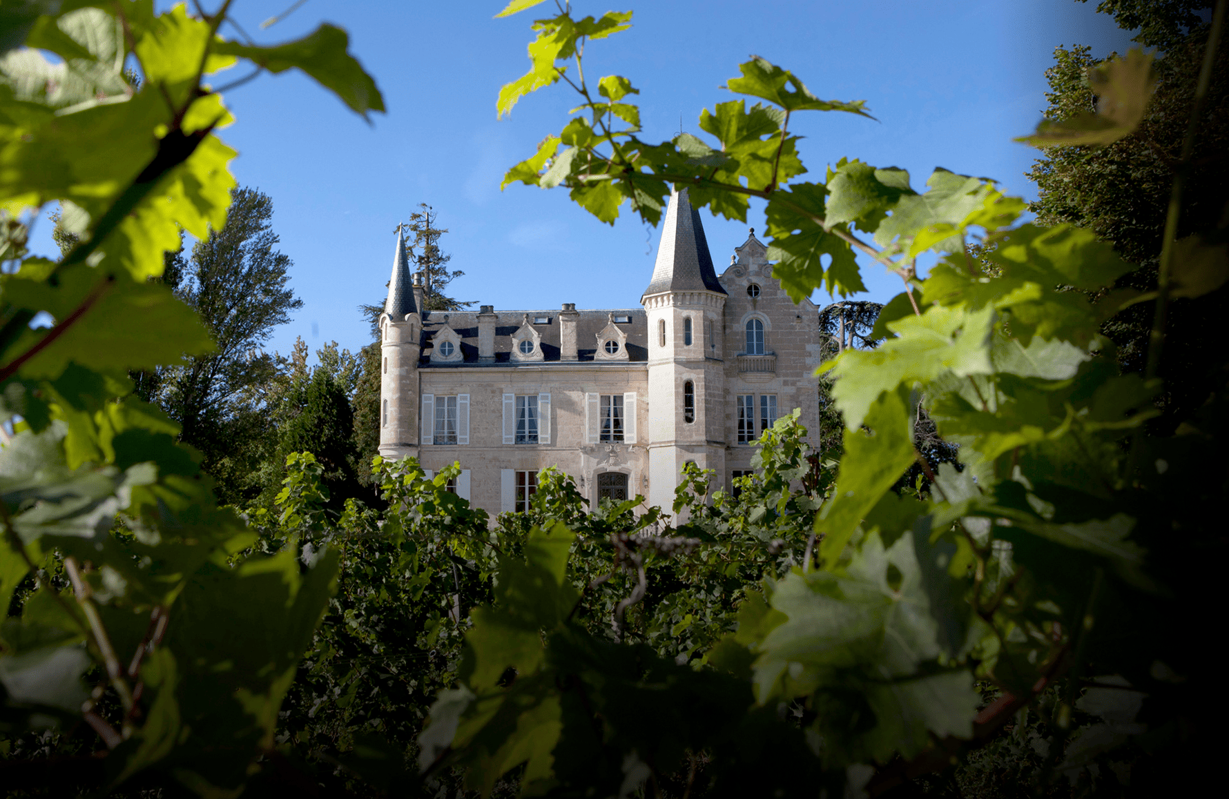 Vins Château Haut-Bergey