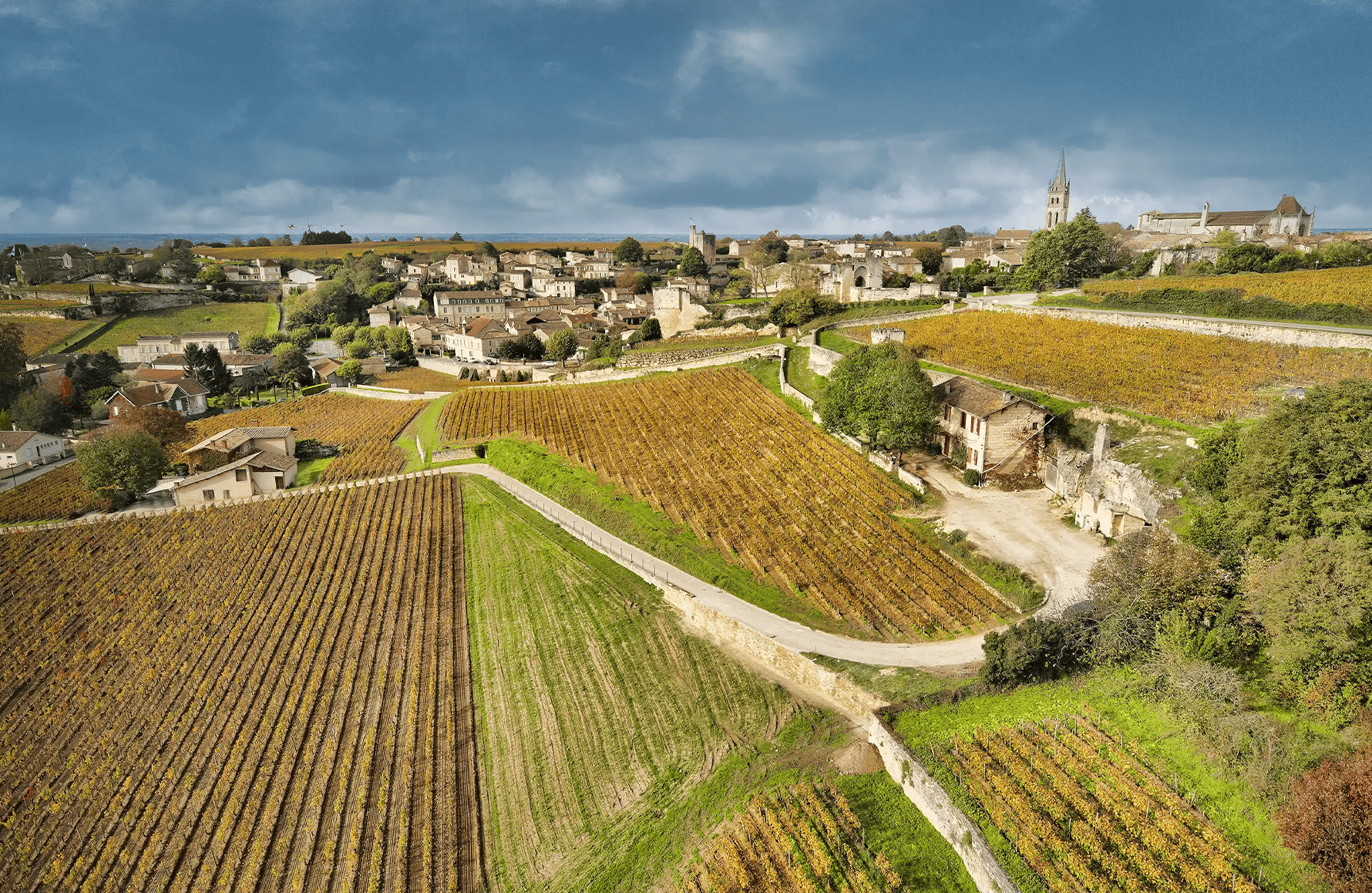 Wines Château La Clotte