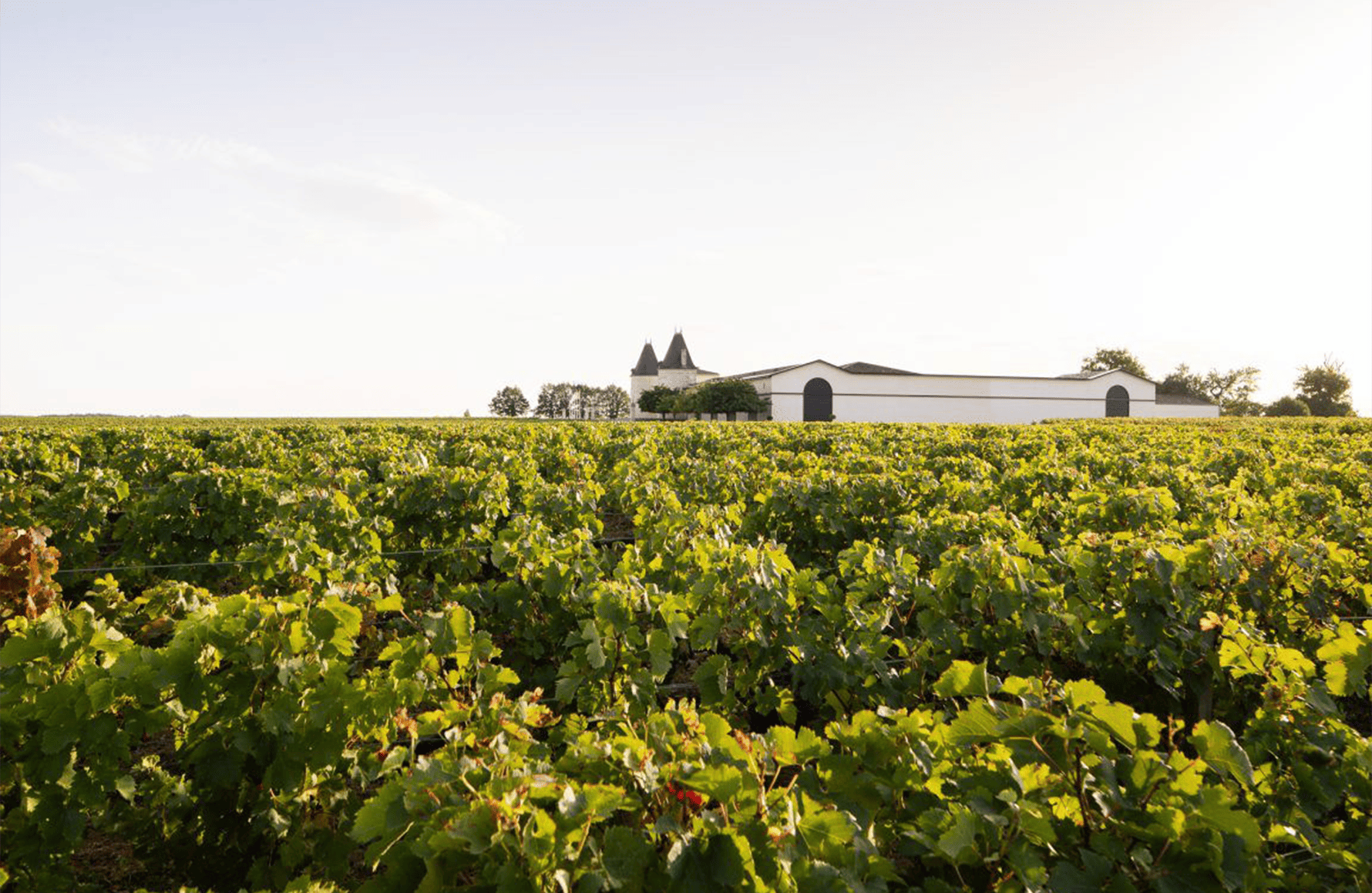 Vins Château Lilian Ladouys