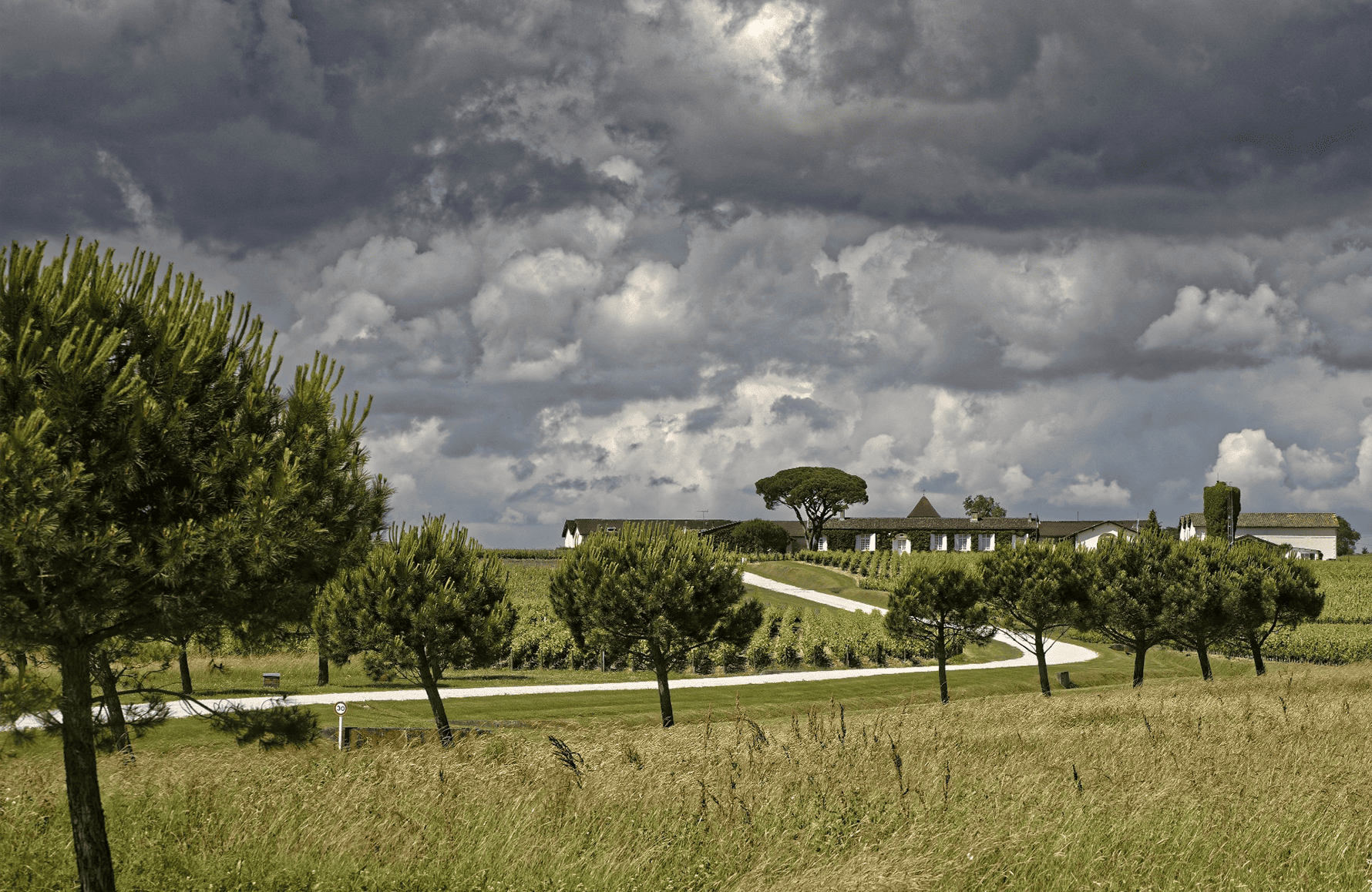 Vins Château Meyney