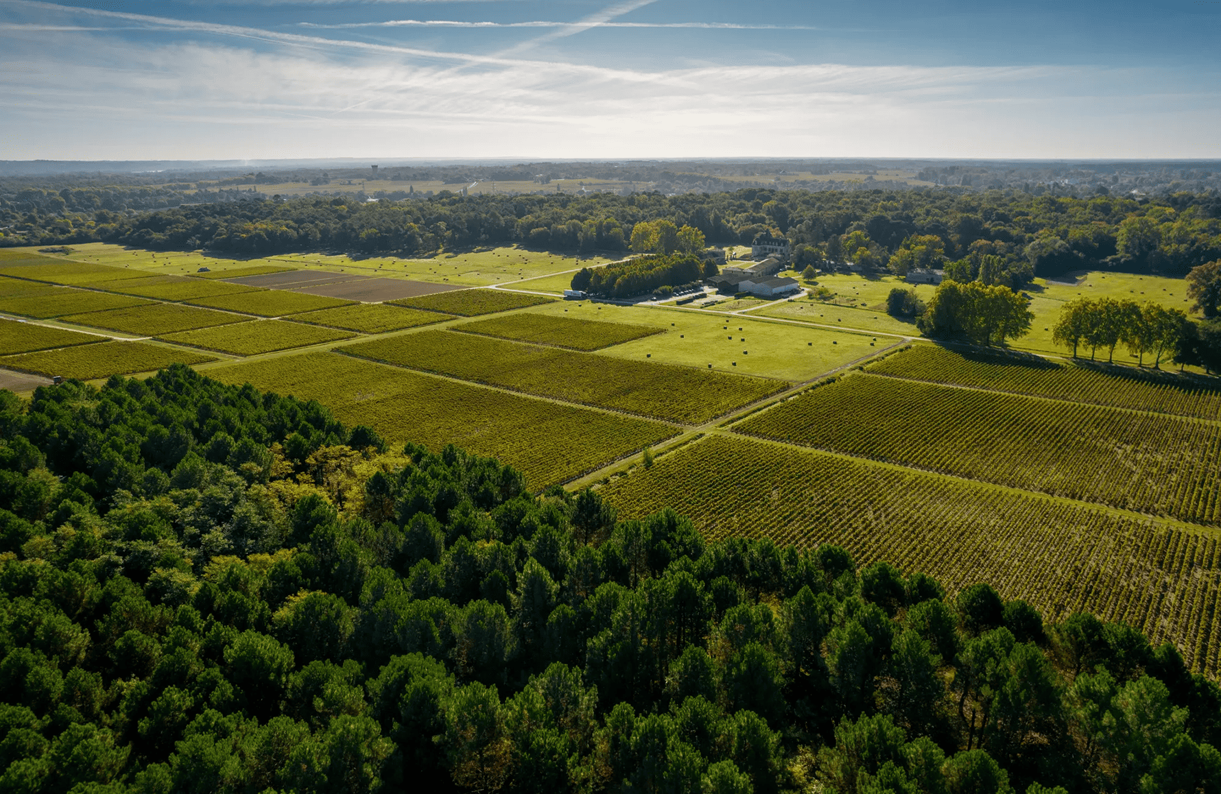the story of Château Olivier