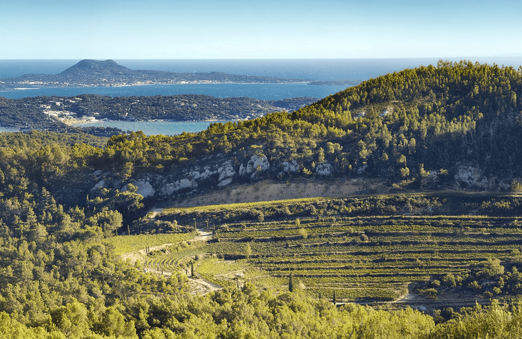 Wines Pibarnon Castle