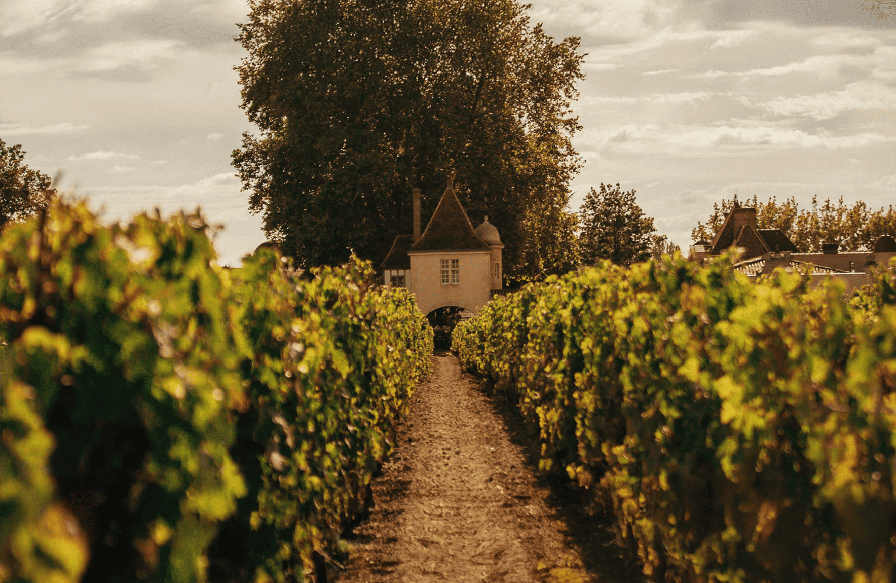 Vins Château Rauzan-Ségla