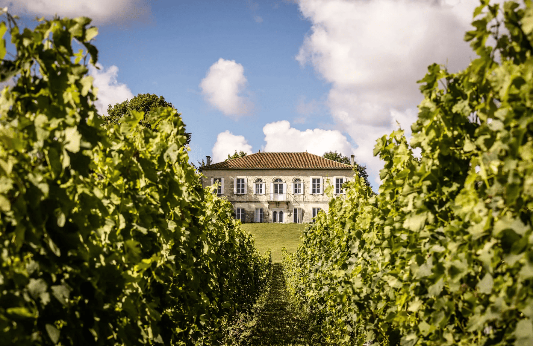 Vins Château Reysson