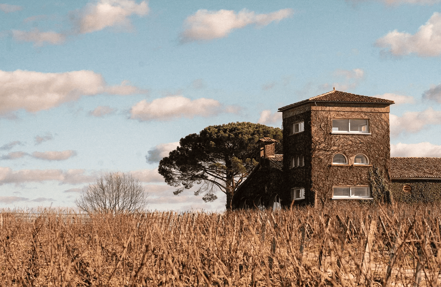 Vins Château Rieussec