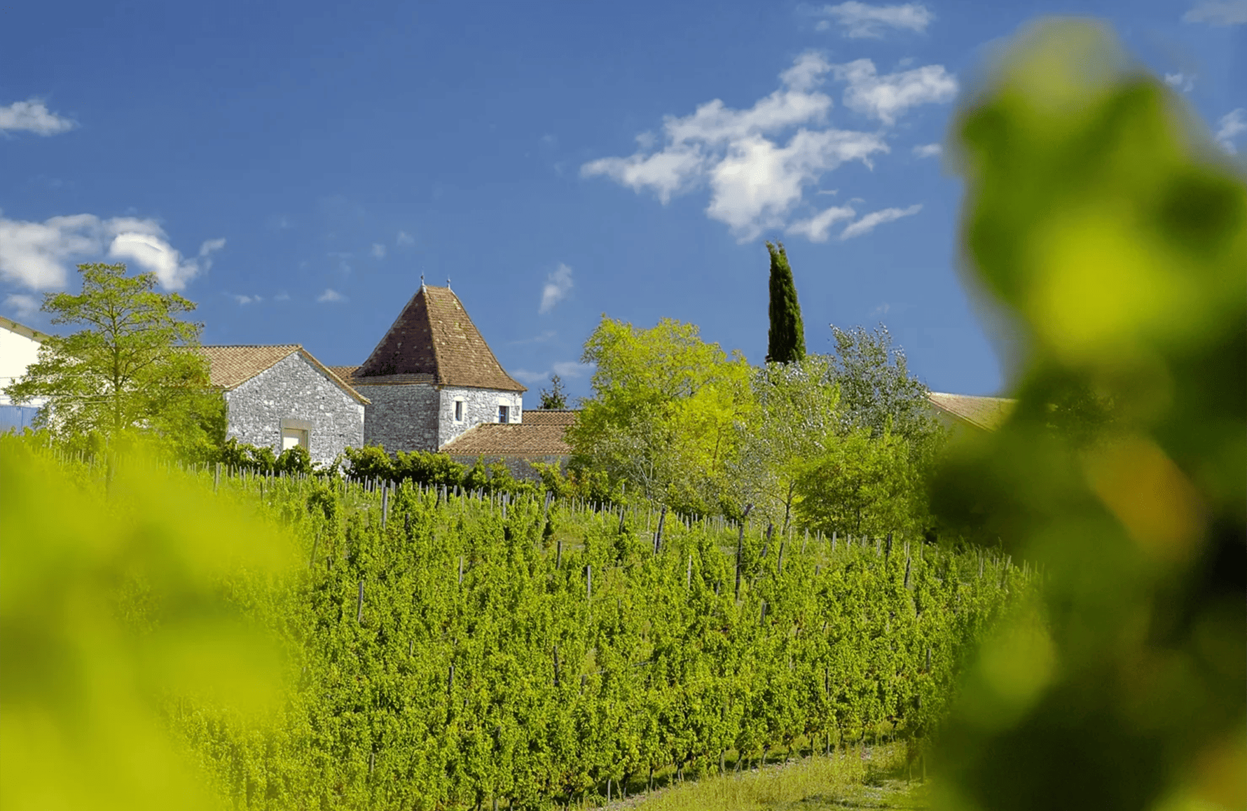 Vins Château Tour des Gendres