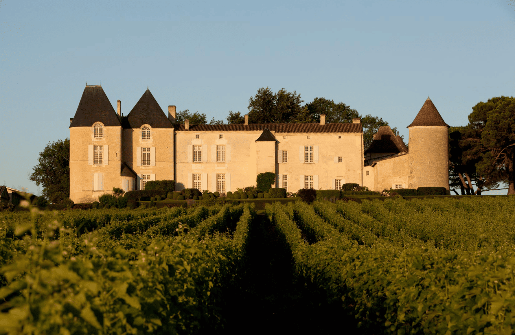 Vins Château d'Yquem