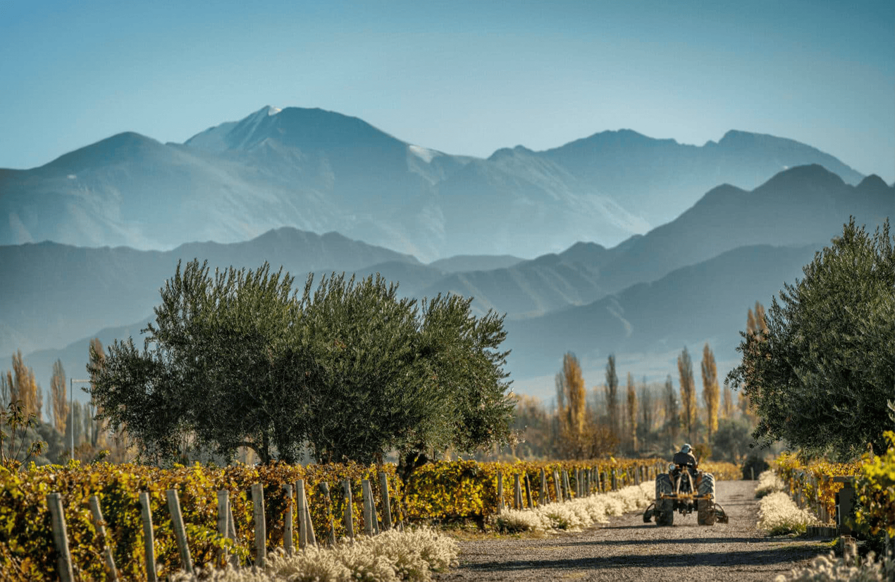 Vins Cheval des Andes - Argentine