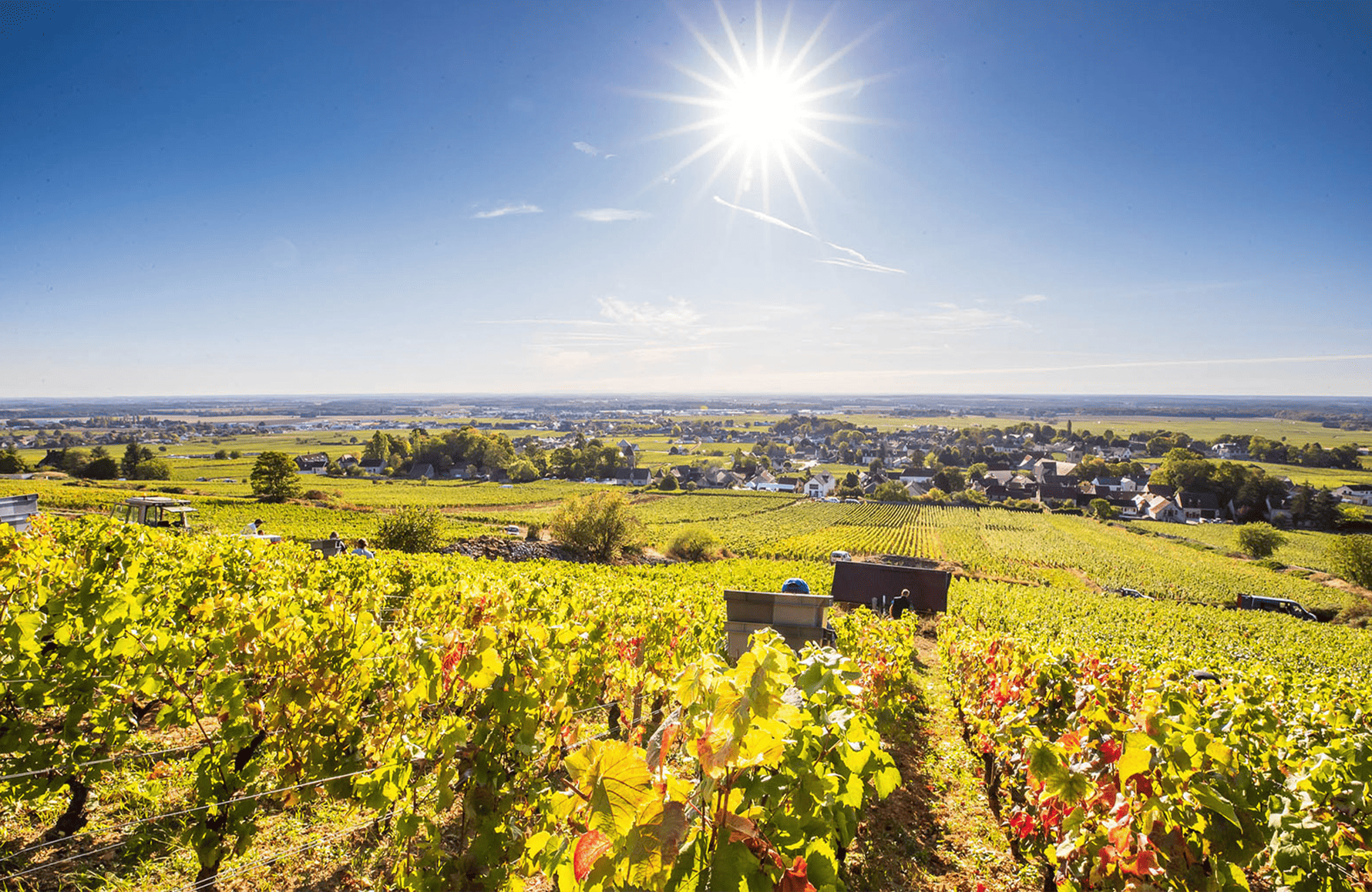 Vins Domaine Bruno Clair