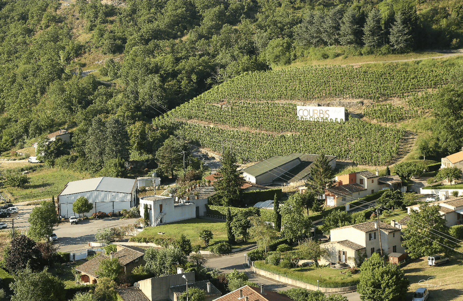 the story of Domaine Courbis