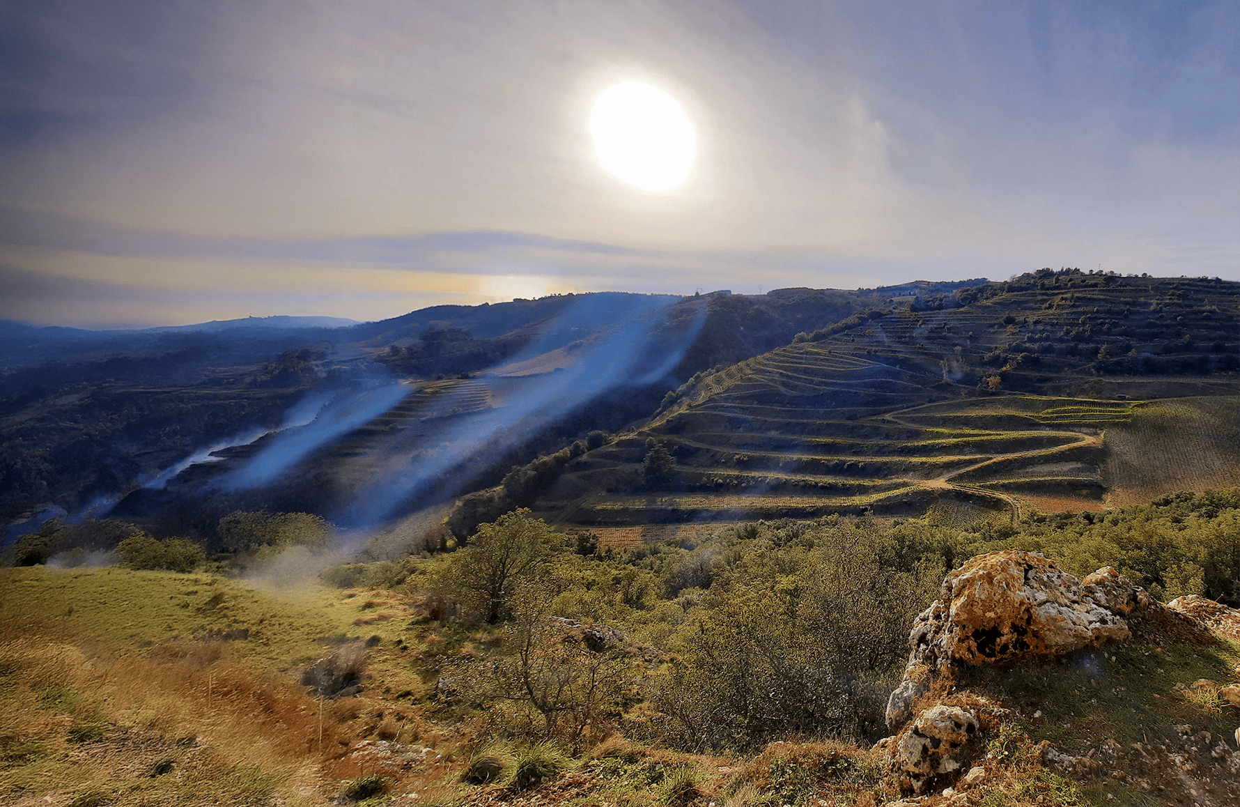 Vins Domaine du Coulet