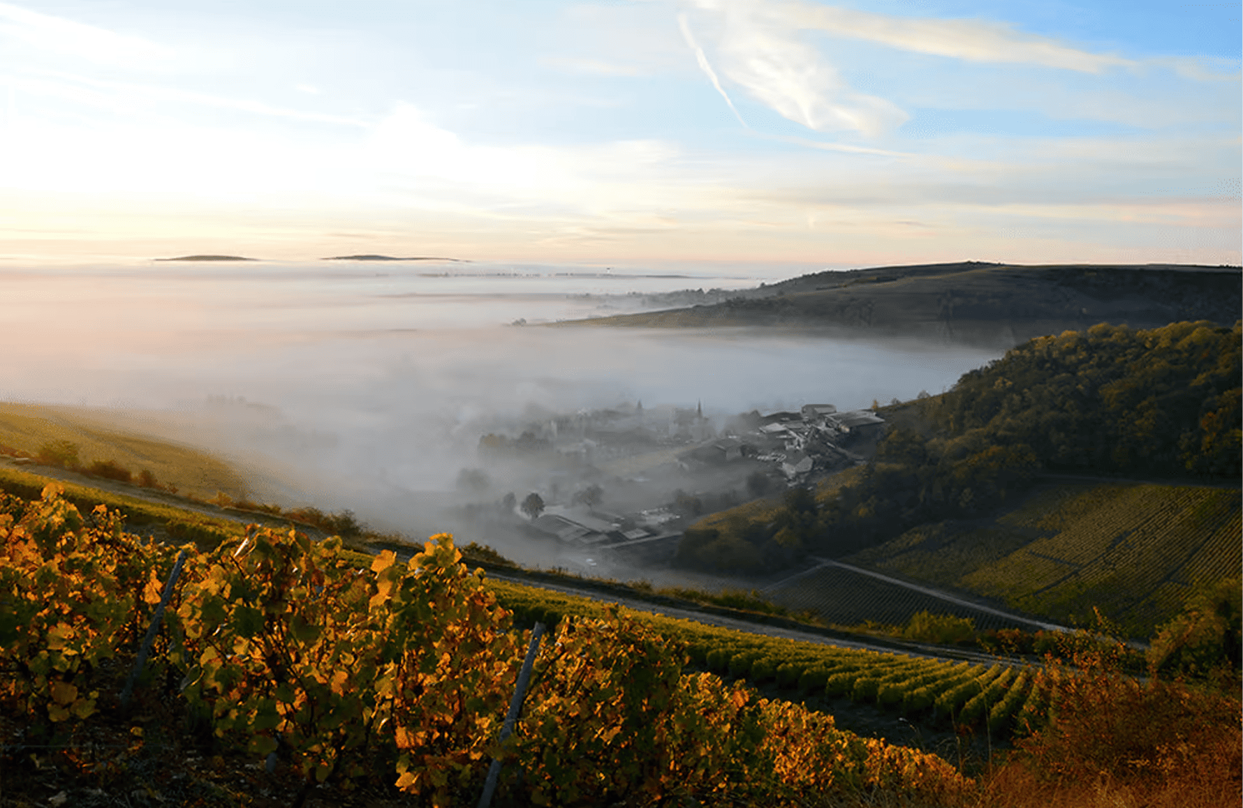 the story of Domaine Henri Bourgeois
