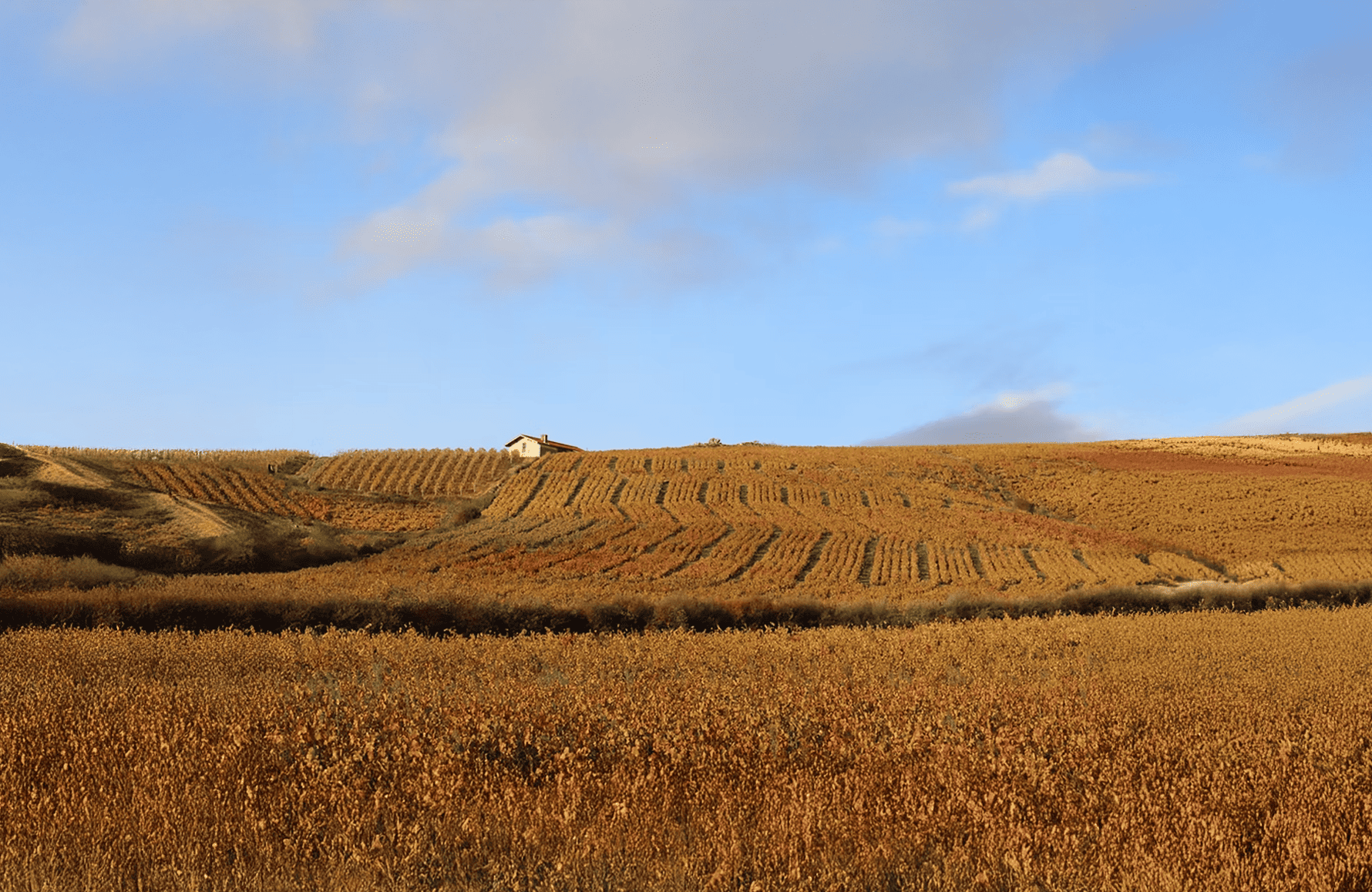 l’histoire du Domaine Hoppenot