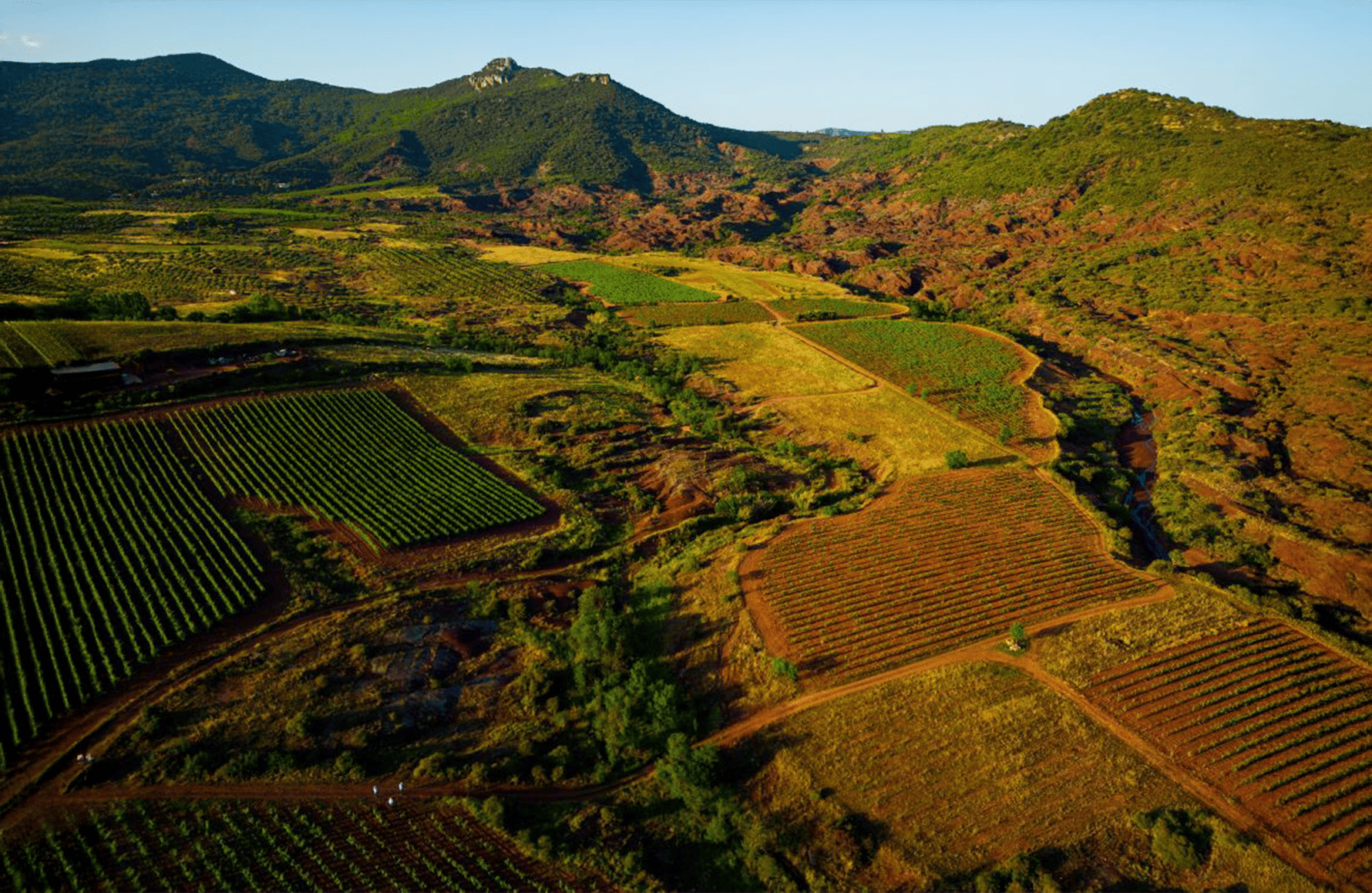 Vins Domaine Le Clos du Serres