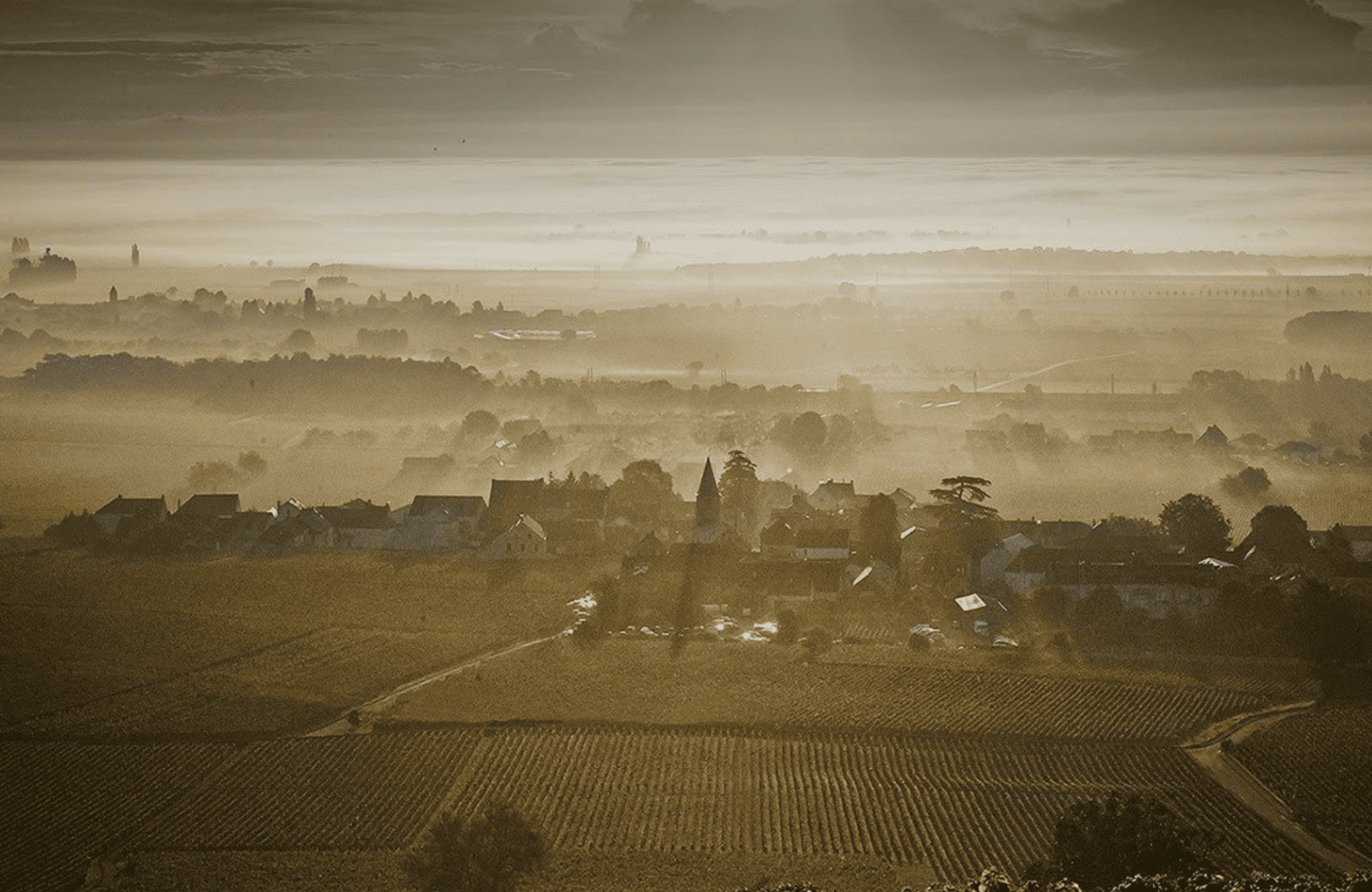 Vins Domaine Méo-Camuzet