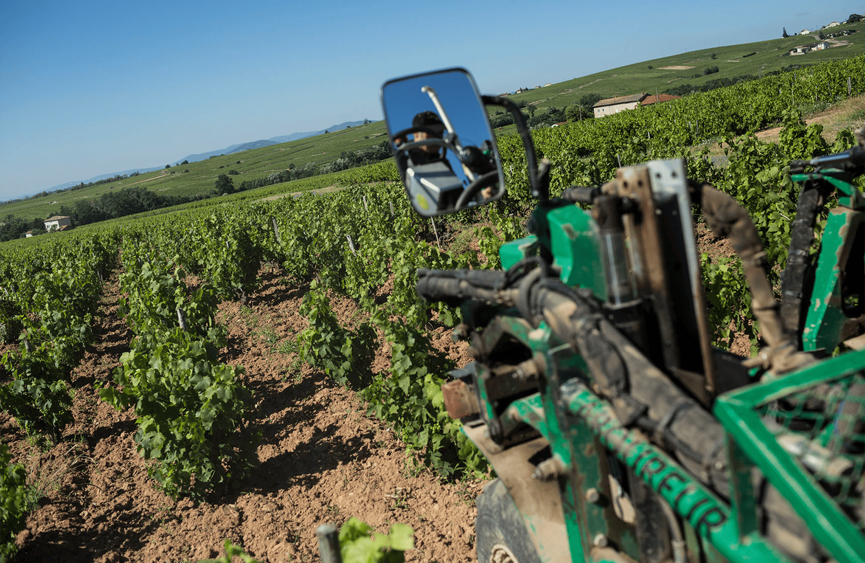 Wines Domaine Paul Janin et Fils