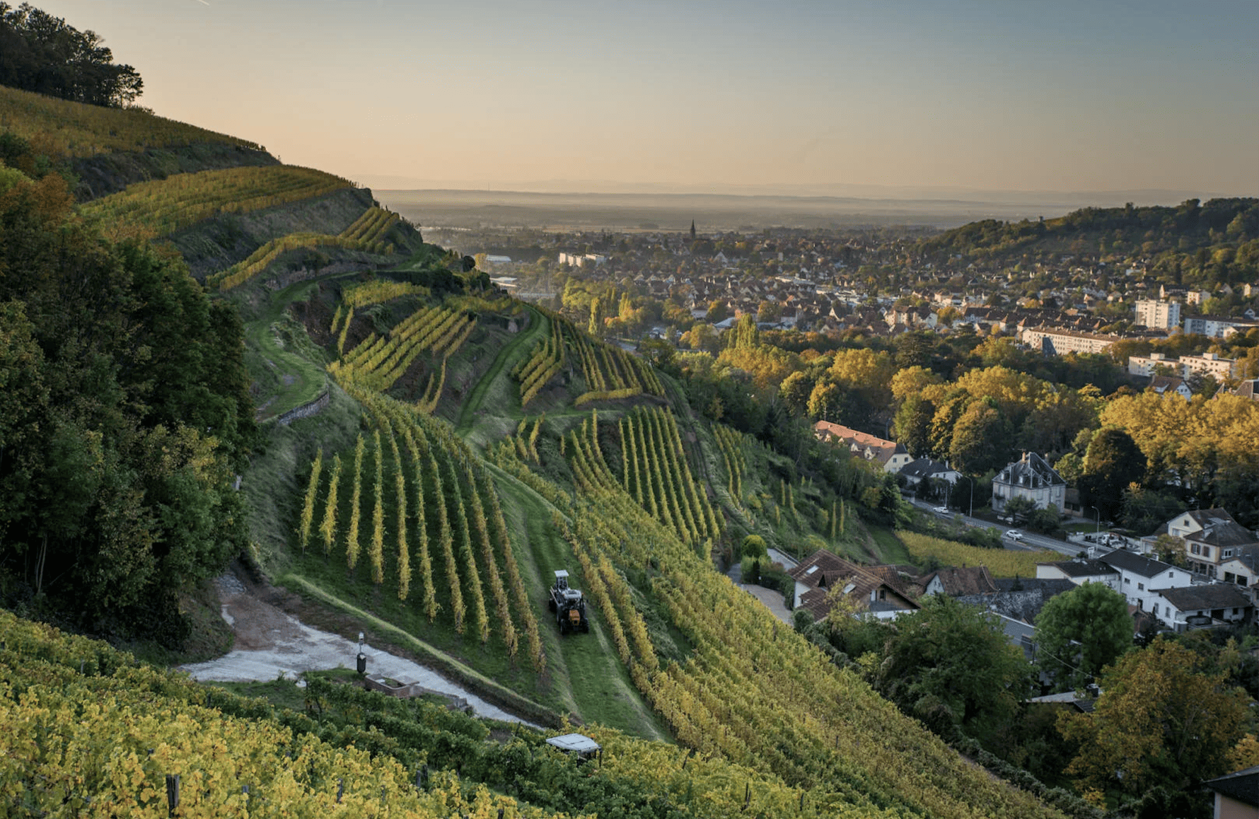 Vins Domaine Schlumberger