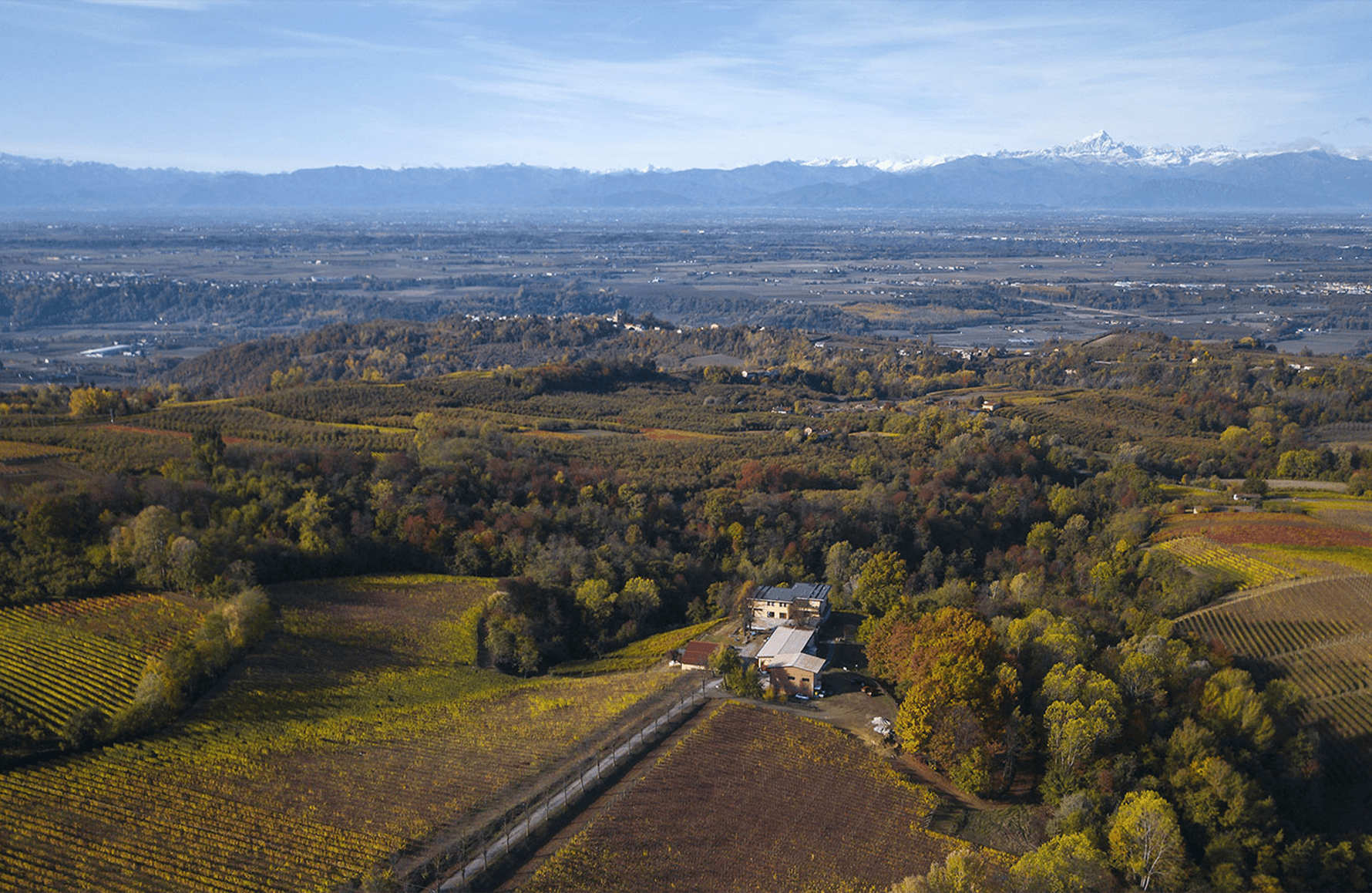 Vins Giulia Negri - Italie