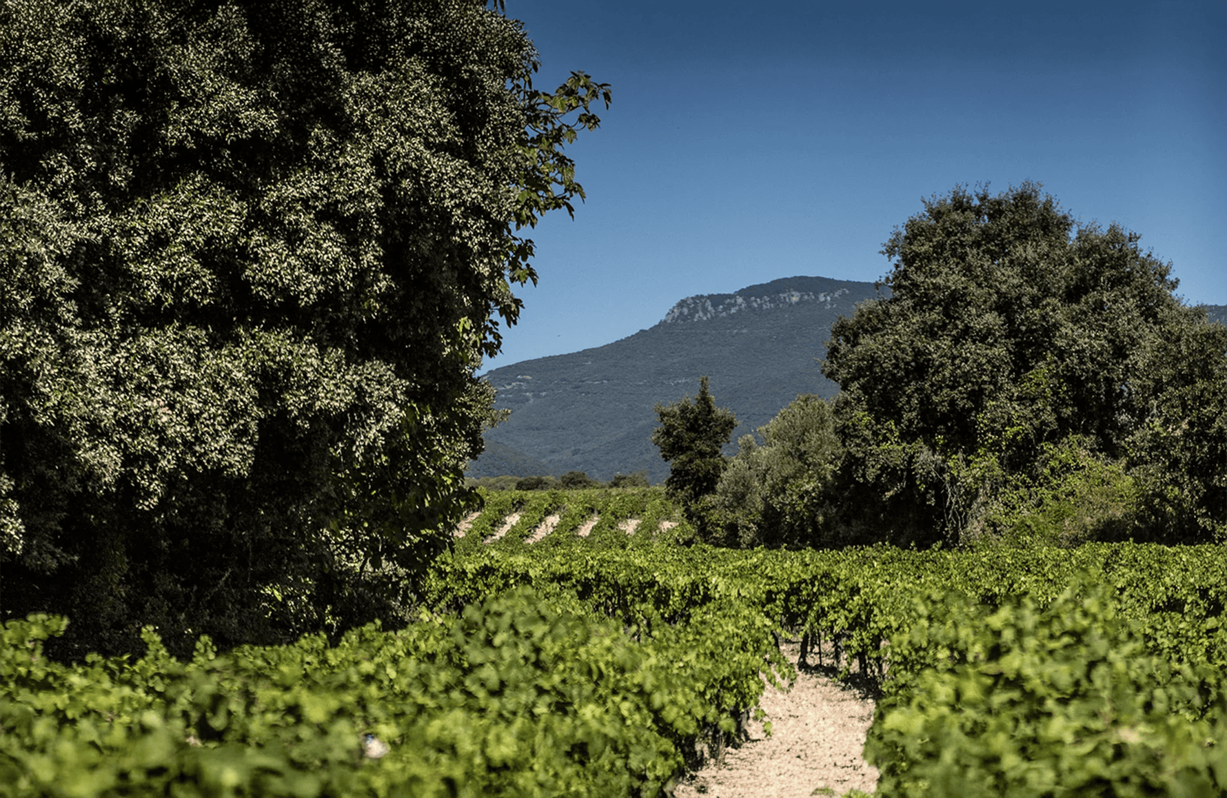 l’histoire du Mas Cal Demoura