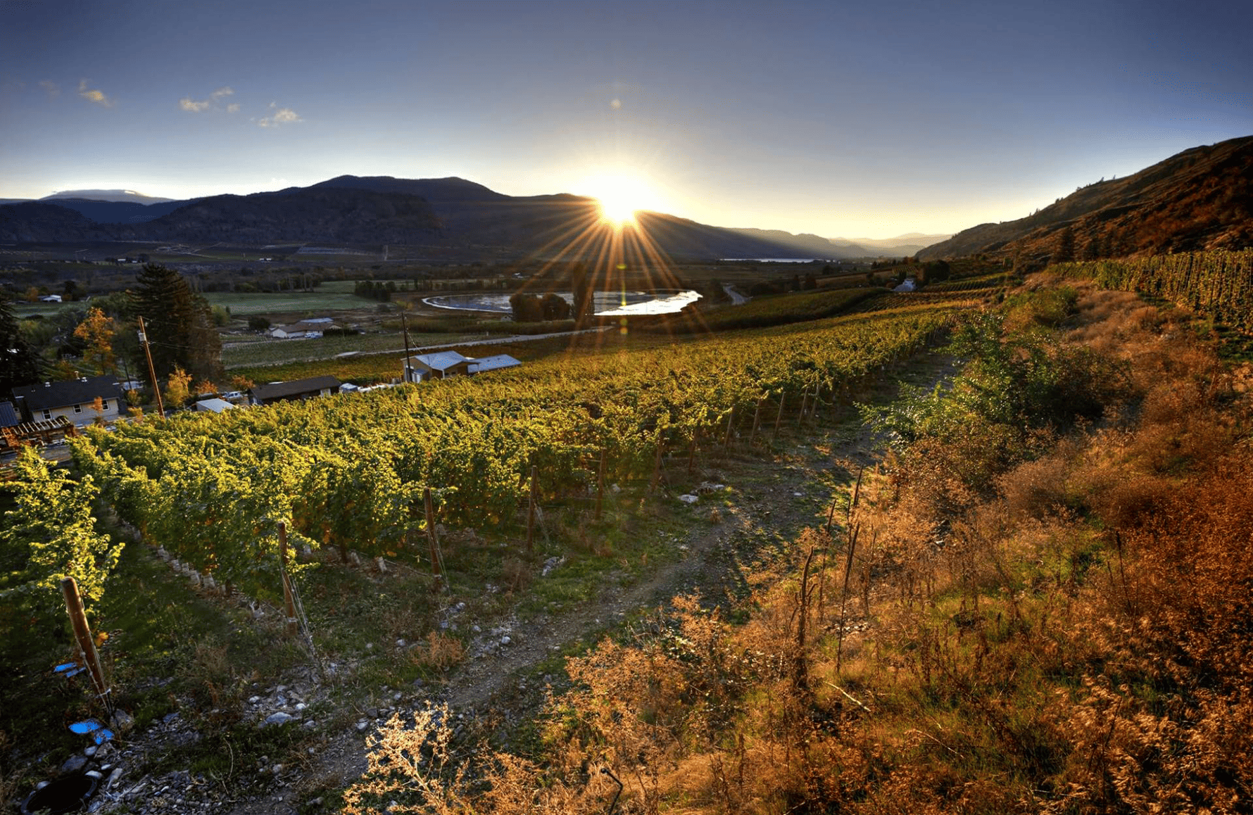 the story of Maverick Wines - Australia